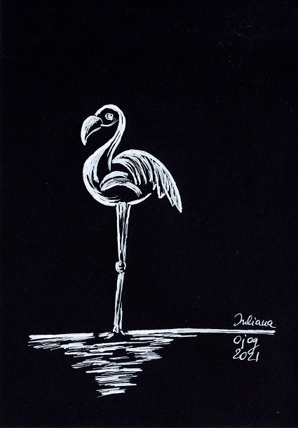 Flamingo - Drawings
