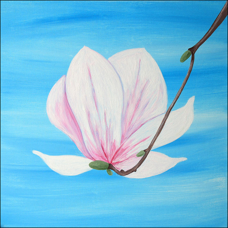 Delicate Magnolia - Paintings (2018)